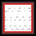 Zafar kafi 18 * 29.10.2007 * 331 x 835 * (9KB)